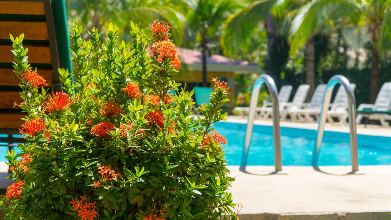 Hotel Isolina Beach Потреро Экстерьер фото